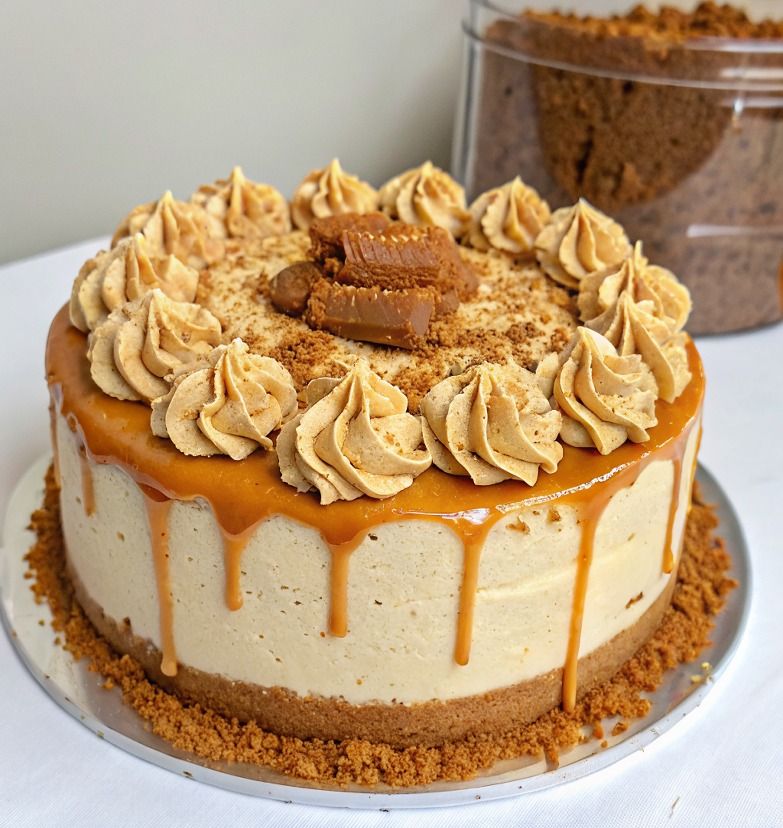Biscoff Milk Cake